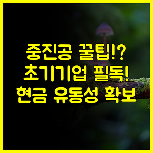 중진공 정책 자금 100% 활용법 초기 기업 유동성 확보 비법 공개