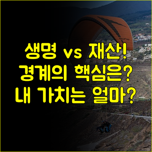 사람의 가치와 재산 손해 생명보험과 손해보험의 근본적인 경계