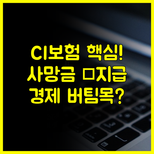 사망보험금 선지급 CI보험 경제적 버팀목 확보 중대한 보장 받는 법