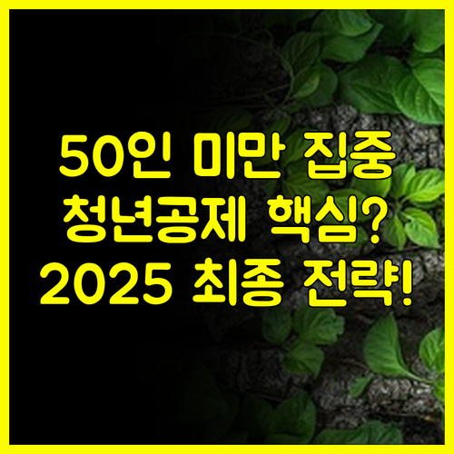 2025년 청년내일채움공제 건설 제조업 50인 미만 집중 최종 전략