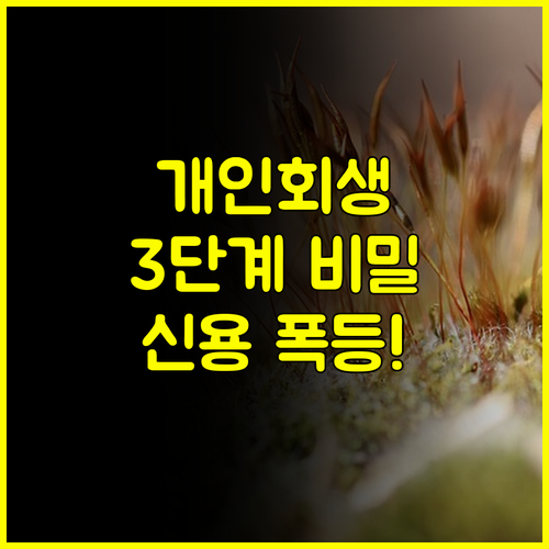 개인회생 특수기록 삭제 후 신용점수 올리는 3단계 비밀