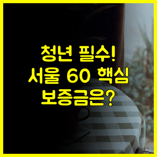 전용 60 제곱 이하 서울 주택 청년 임차보증금 대출 조건 Q&A