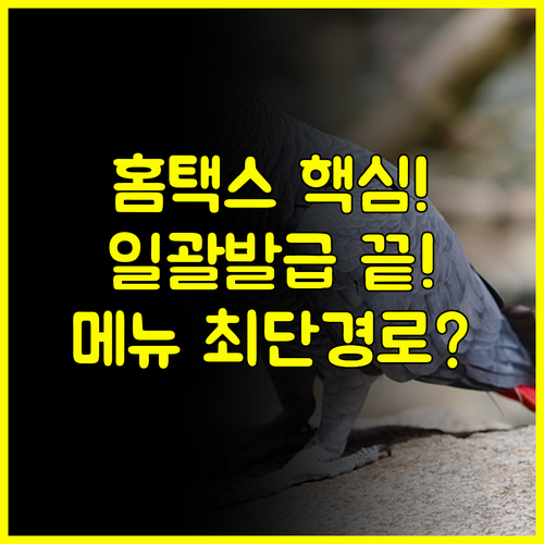 홈택스 전자세금계산서 건별 일괄발급 완벽 가이드 | 메뉴 접근 방법