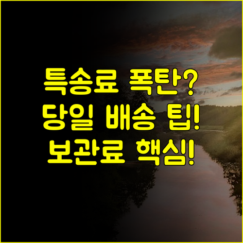당일 특송 비용 폭탄 피하기 고속버스 택배 할증 요금 및 보관료 가이드