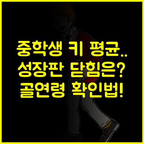 우리 아이 중학생 평균 키 괜찮을까 성장판 닫힘 시기와 골연령 확인법