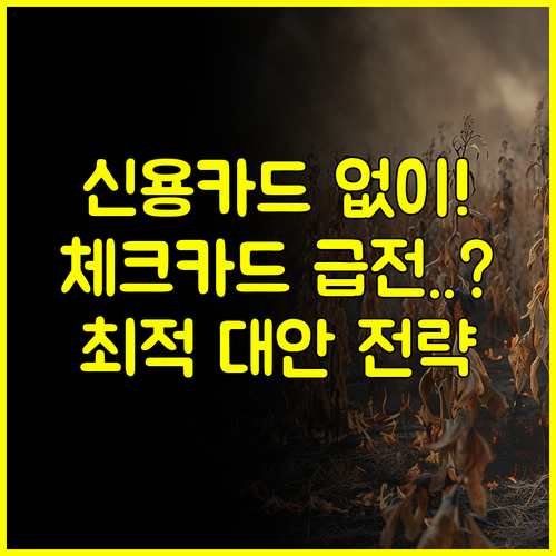 신용카드 없이 급전 필요할 때 체크카드 대출 현실과 최적의 대안 전략