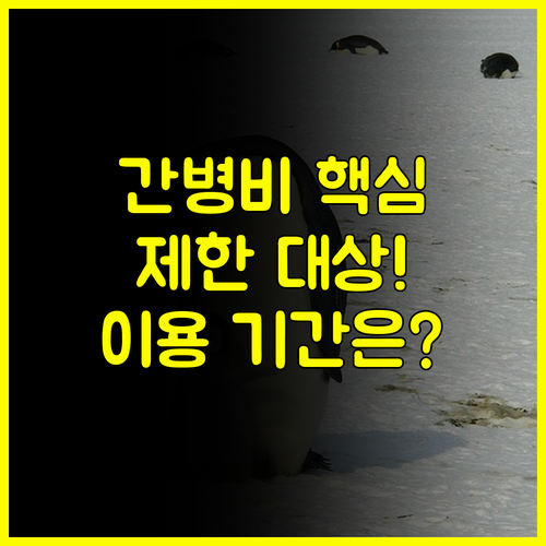 비급여 간병비 급여화 간호간병통합서비스 이용 제한 대상 및 기간 안내