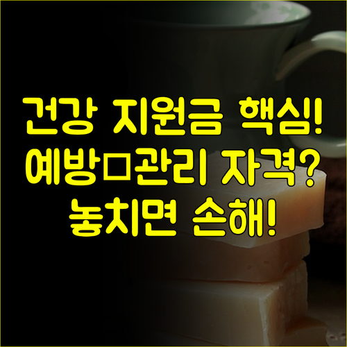 건강생활실천지원금제 신청 자격은 예방형 관리형 완벽 분석