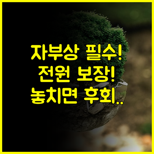 운전자 동승자 전원 보장! 자부상 특약 활용 노하우 공개