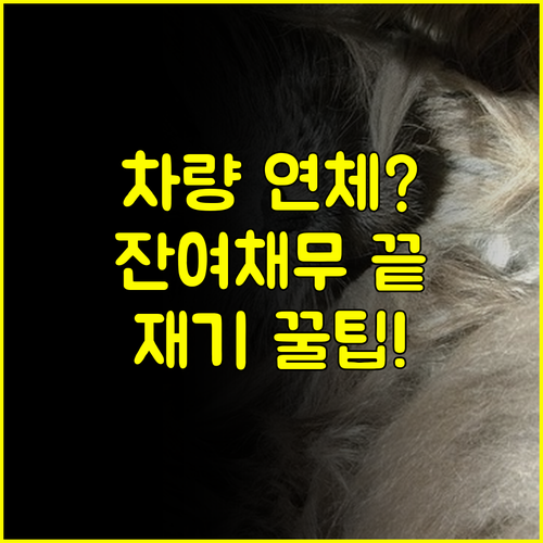차량 담보 연체 후 신용 회복 잔여 채무 처리와 재기 로드맵 핵심 정리
