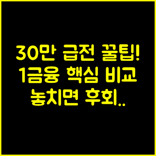 30만원 소액 급전 마련의 교과서 1금융권 대출 유동화 비교