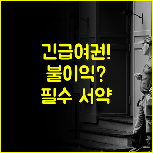 긴급여권 단수여권 비전자여권 사용 동의와 불이익 감수 서약