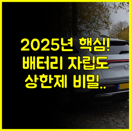 2025년 전기차 보조금 심층 분석 배터리 자립도와 가격 상한제 조정의 비밀