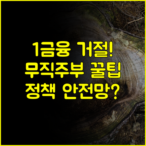 1금융 거절되면 무조건 확인 무직자 주부 대출 서민금융 정책 대출 안전망