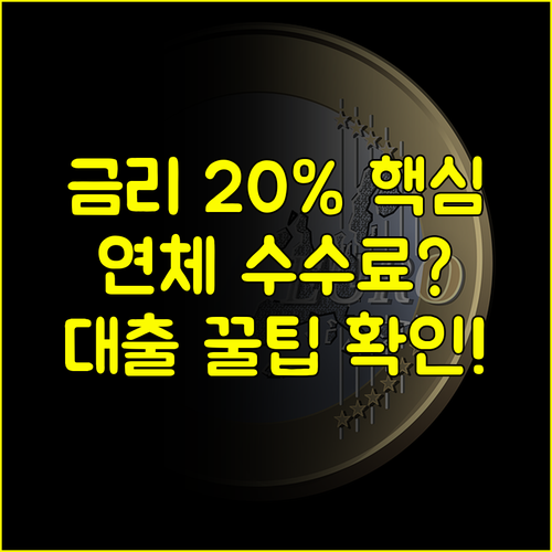 대부업 대출의 연체 중도상환 수수료 조건 20% 법정 금리 기준으로 합리적 판단