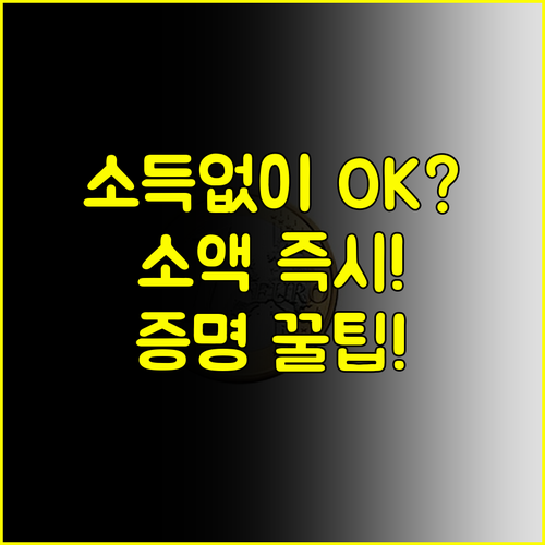 소득 없어도 OK 무직자 기대출 소액 대출 상환 능력 증명 가이드